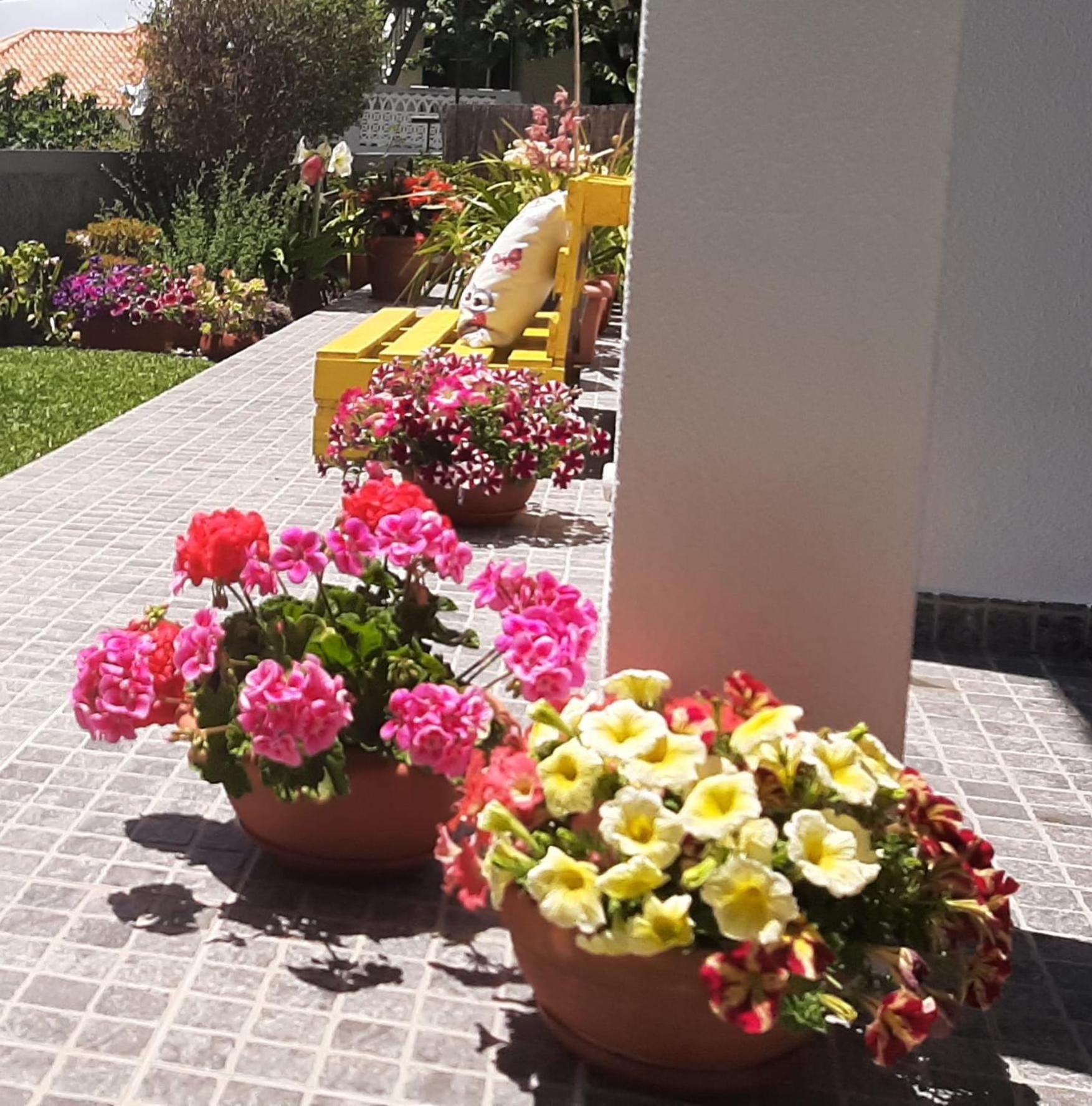 Casa Ventura Villa Arco da Calheta  Exterior photo
